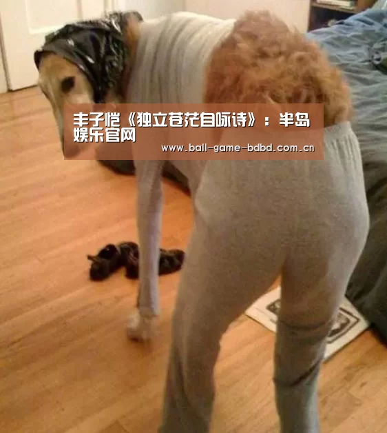 丰子恺《独立苍茫自咏诗》:半岛娱乐官网(图3) 半岛娱乐官方网站
